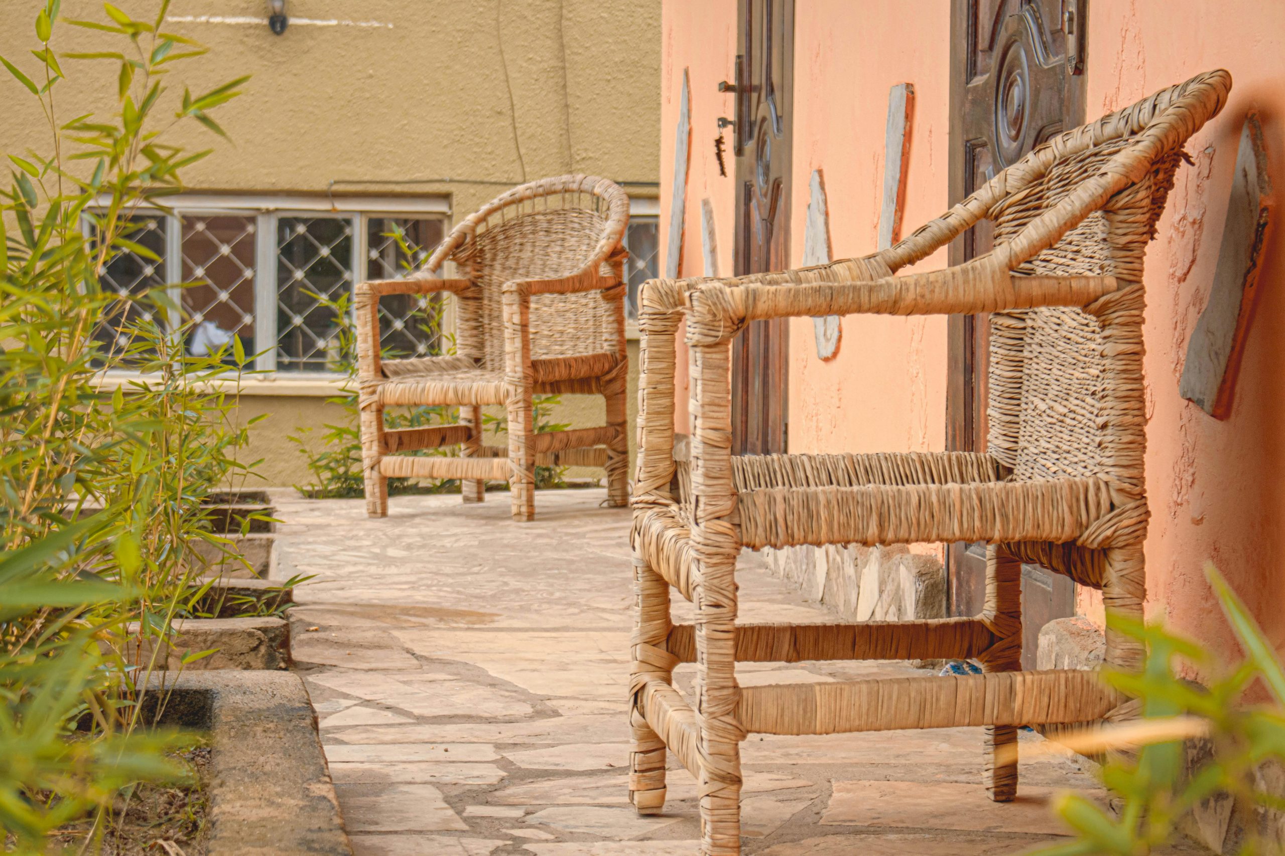 Planting, Watering, and Letting Go